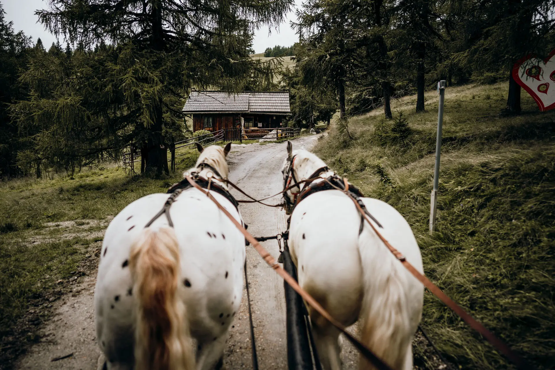 Das Brautpaar fährt mit der Kutsche zum Standesamt auf dem Katschberg.